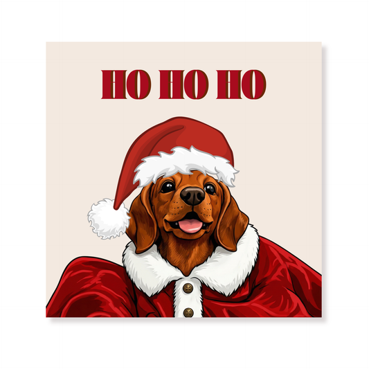 Ho Ho Ho Servietter