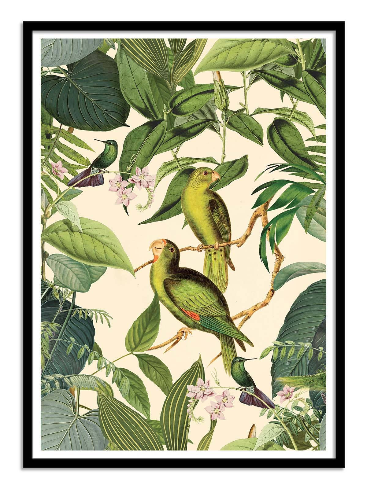 Jungle Parakeet Plakat