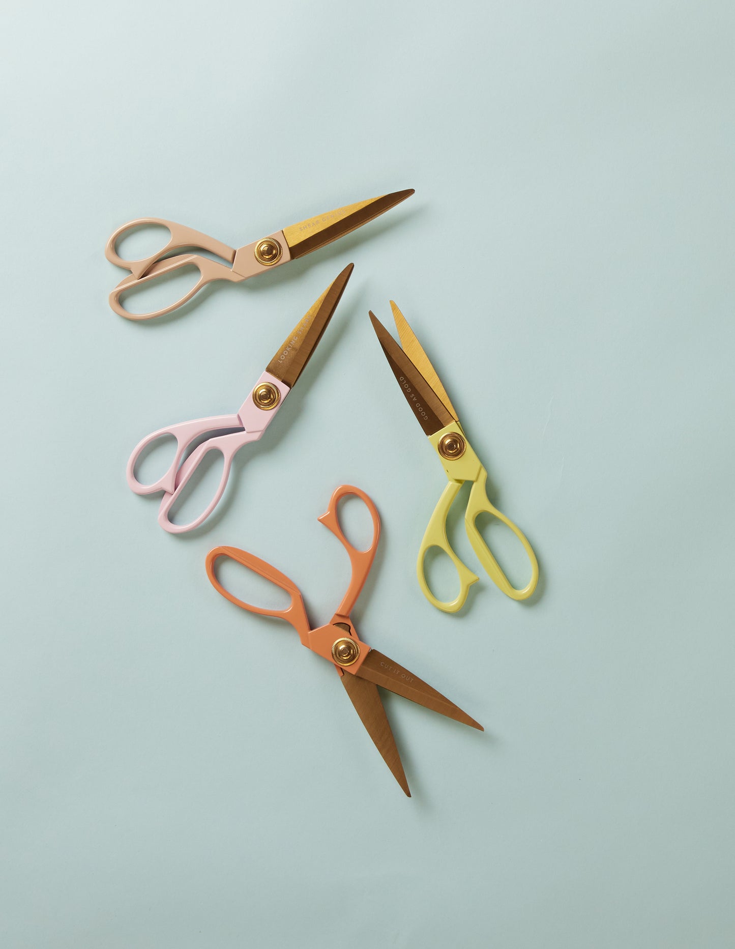 Saks Shear Genius