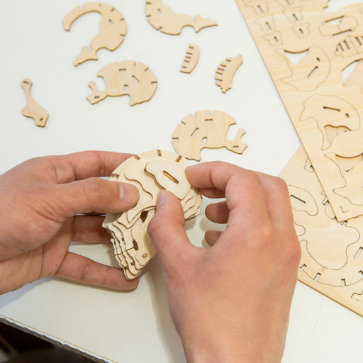 3D puslesett Hodeskalle