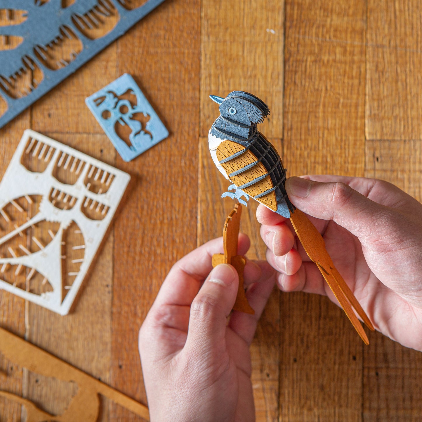 Paradise Bird 3D Puzzle