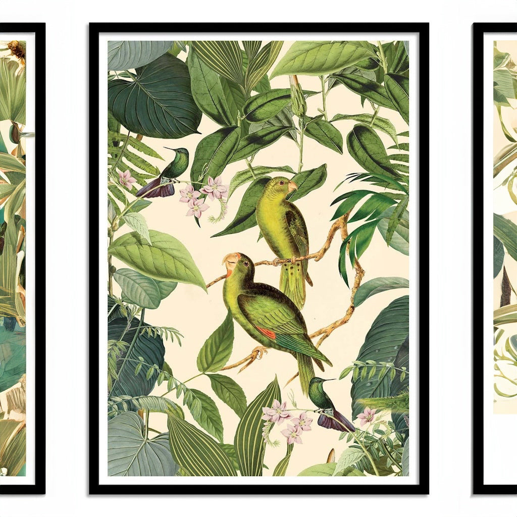 Jungle Parakeet Plakat