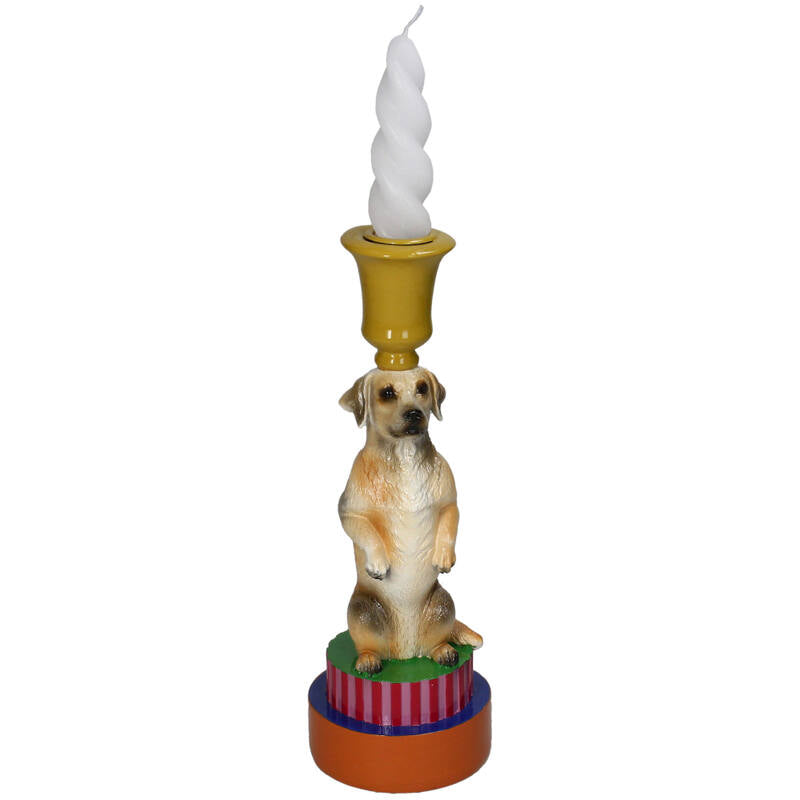 Lysholder Goldie Dog