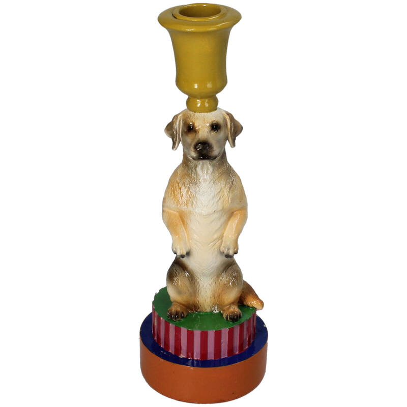 Lysholder Goldie Dog