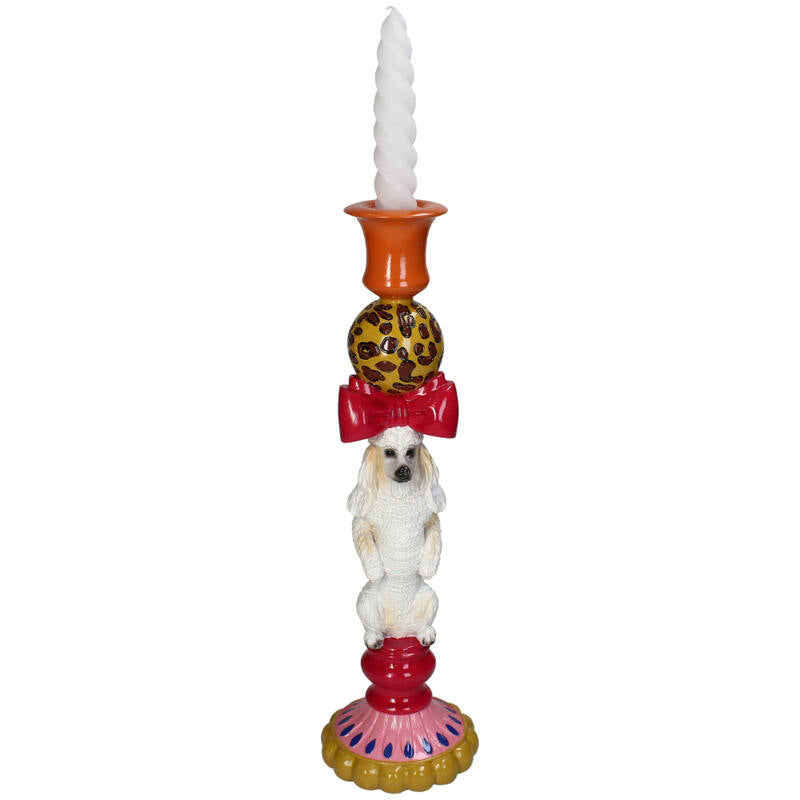 Lysholder Poodle