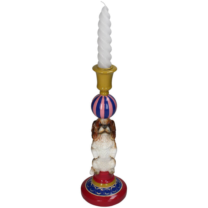 Lysholder Cavalier Dog