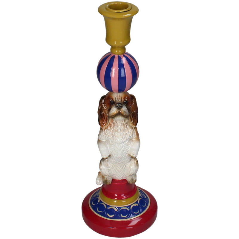 Lysholder Cavalier Dog
