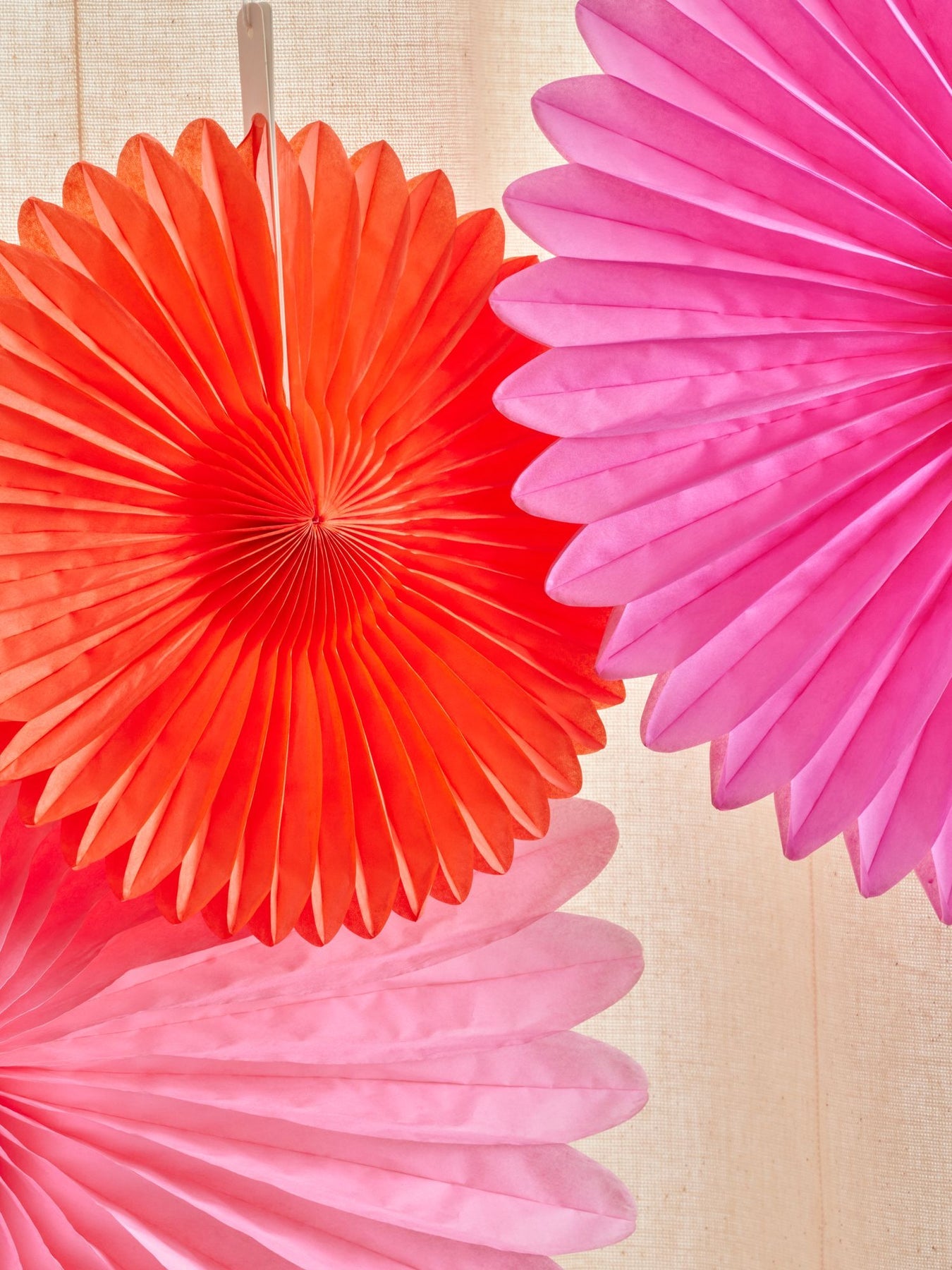 Papirrosetter Rosa
