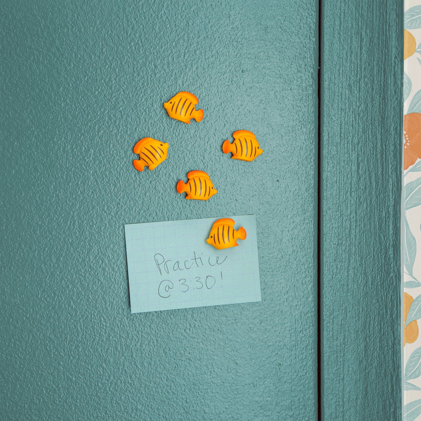 Fisk Magnets