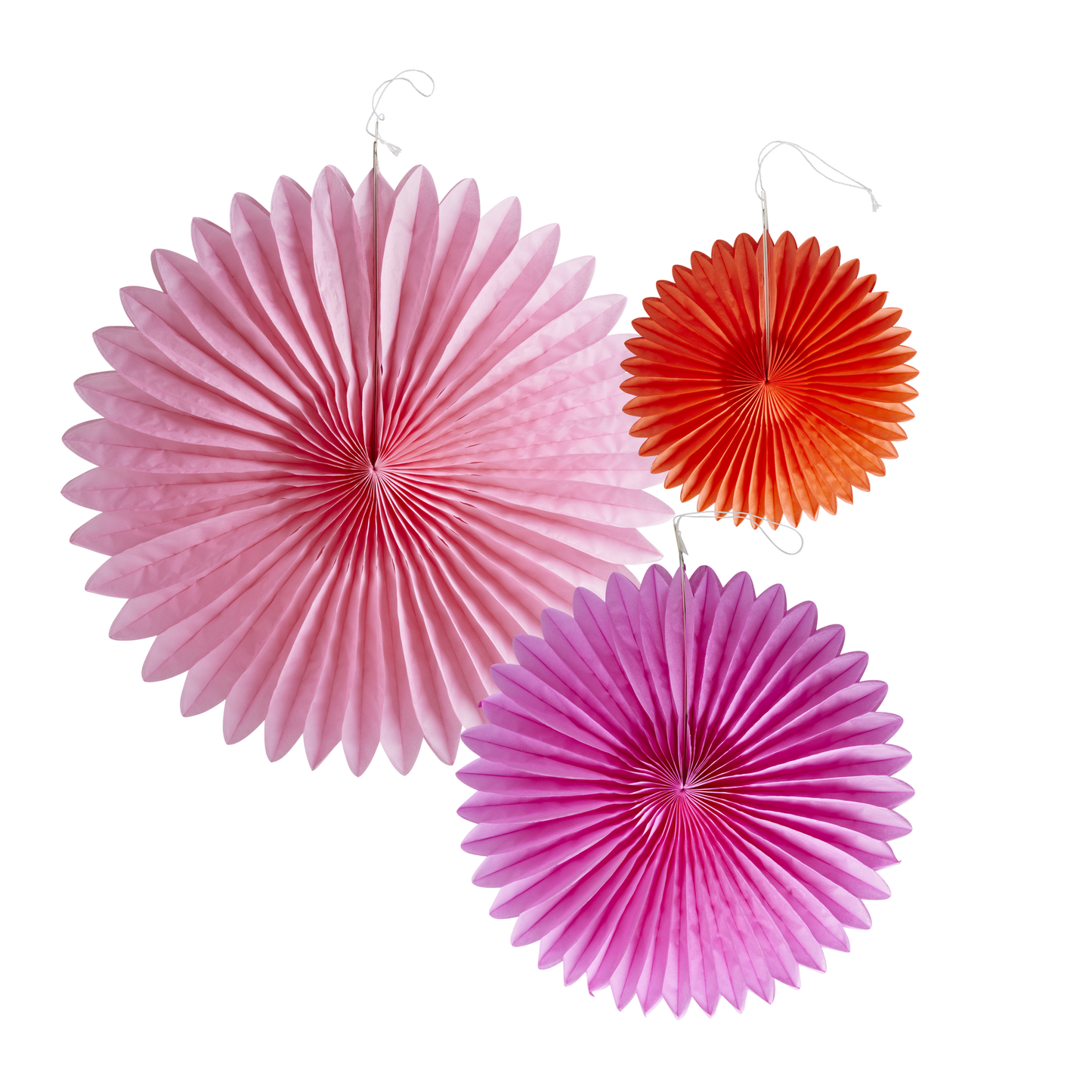 Papirrosetter Rosa