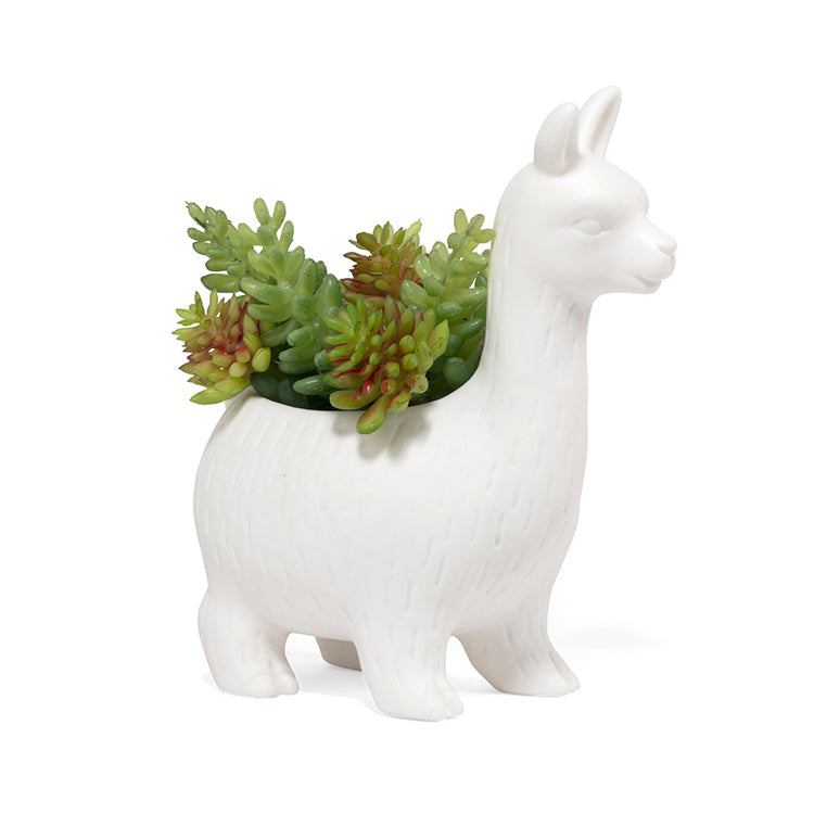 Lama Plantepotte