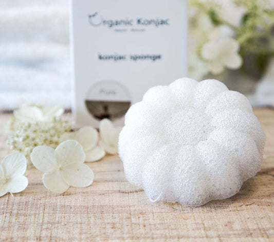 Konjac Babysvamp Blomst
