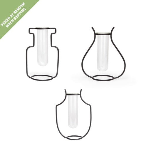 Avleggervase Kikker