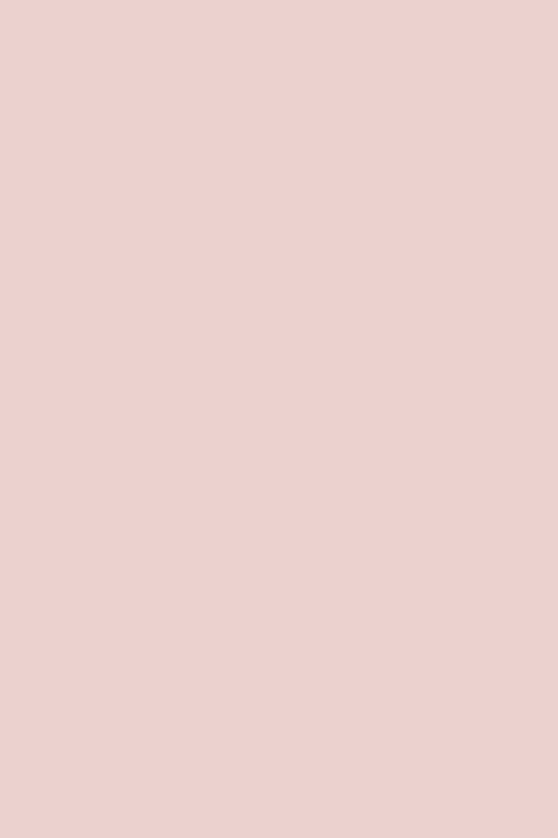 The Standard Blush
