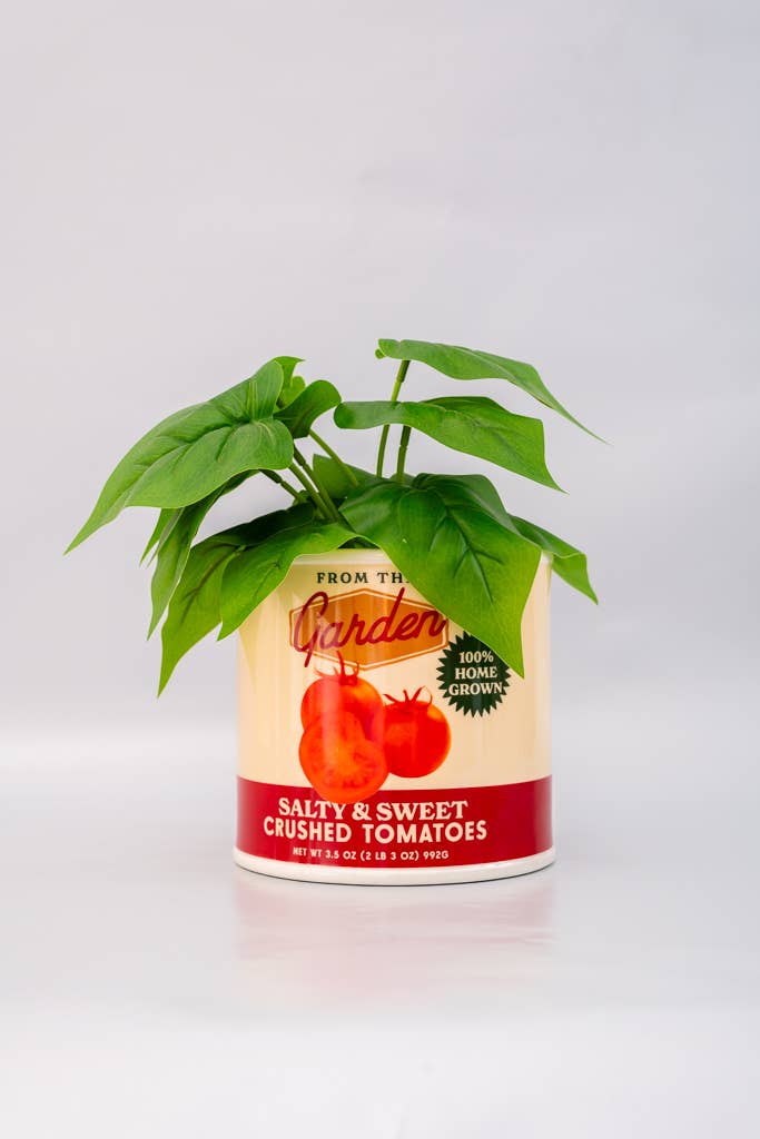 Tomato Can Vase