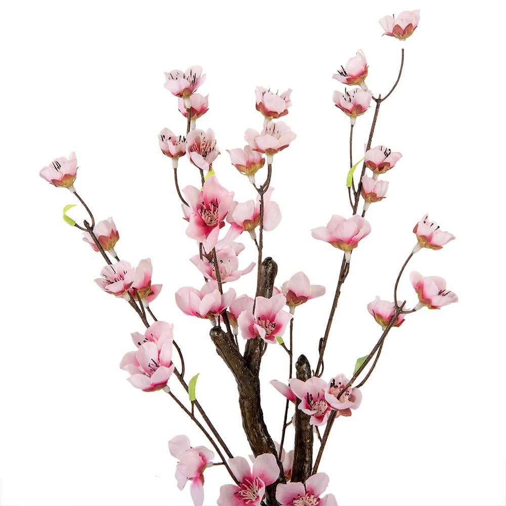 Cherry Blossom Plante 48 cm