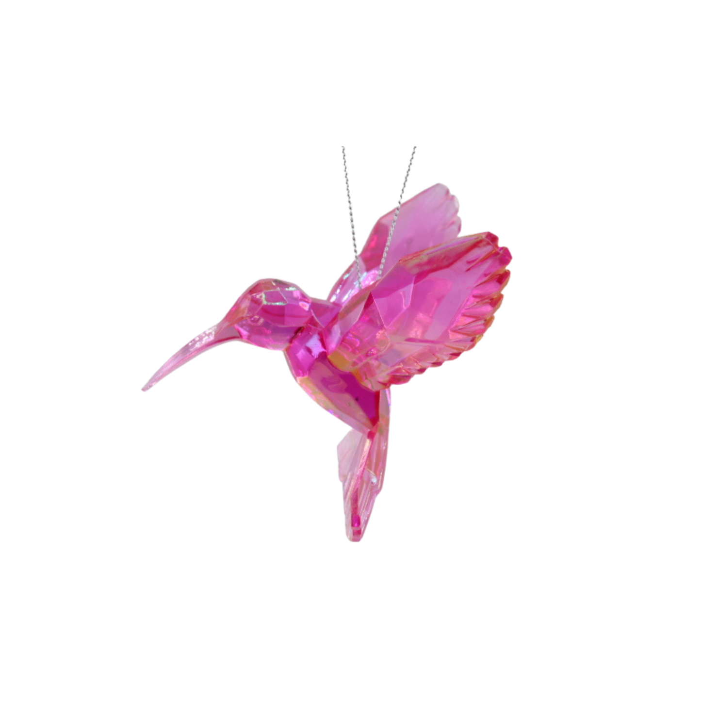 Hummingbird Rosa
