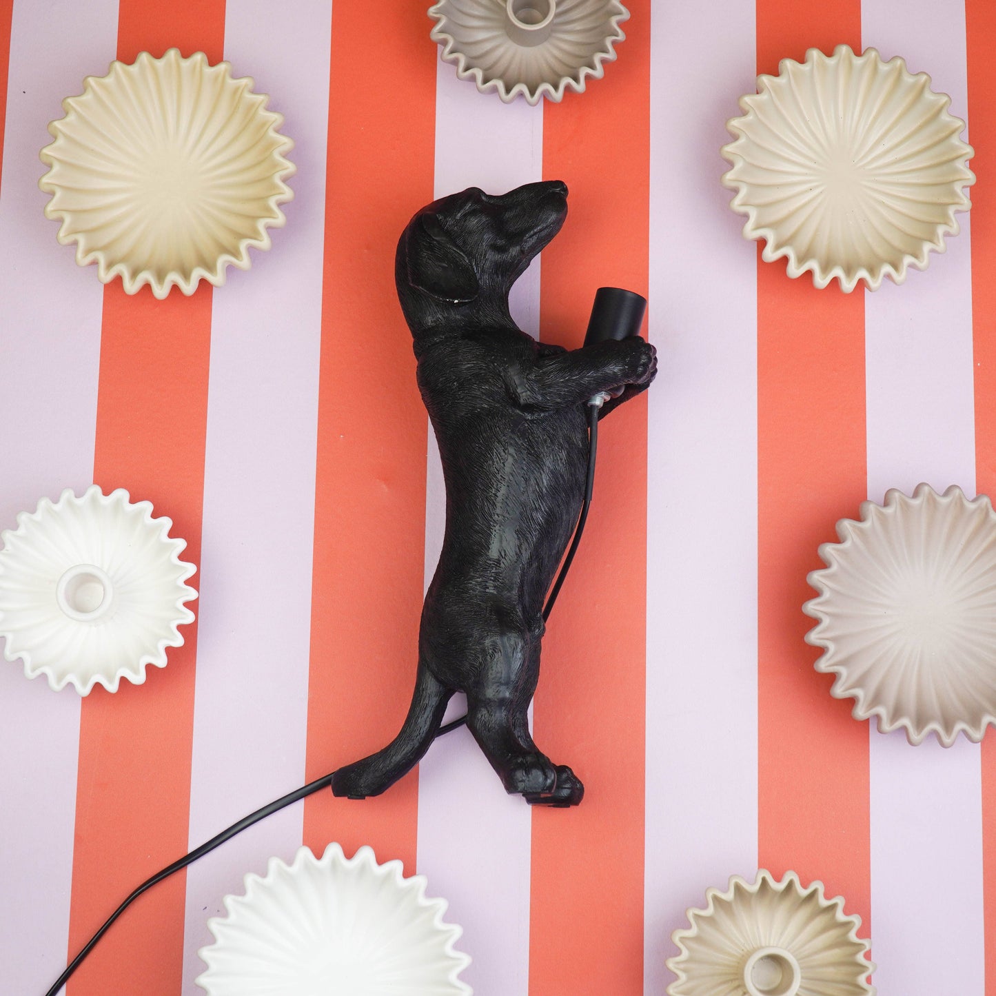 Dachshund Lampe Svart