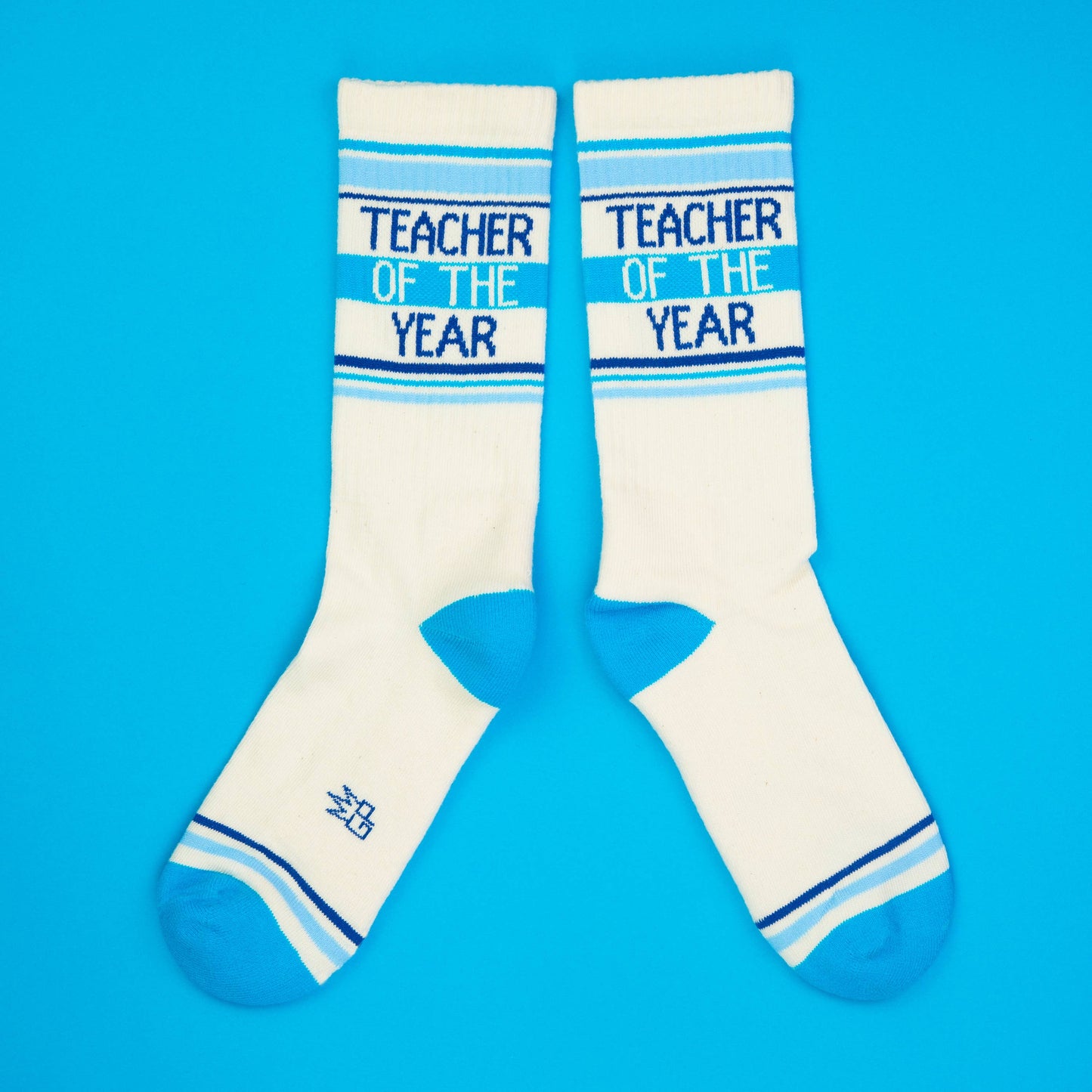 Teacher Of The Year Sokker