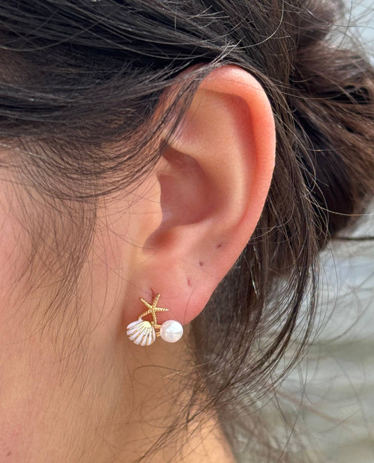 Starfish Shell Øreringer