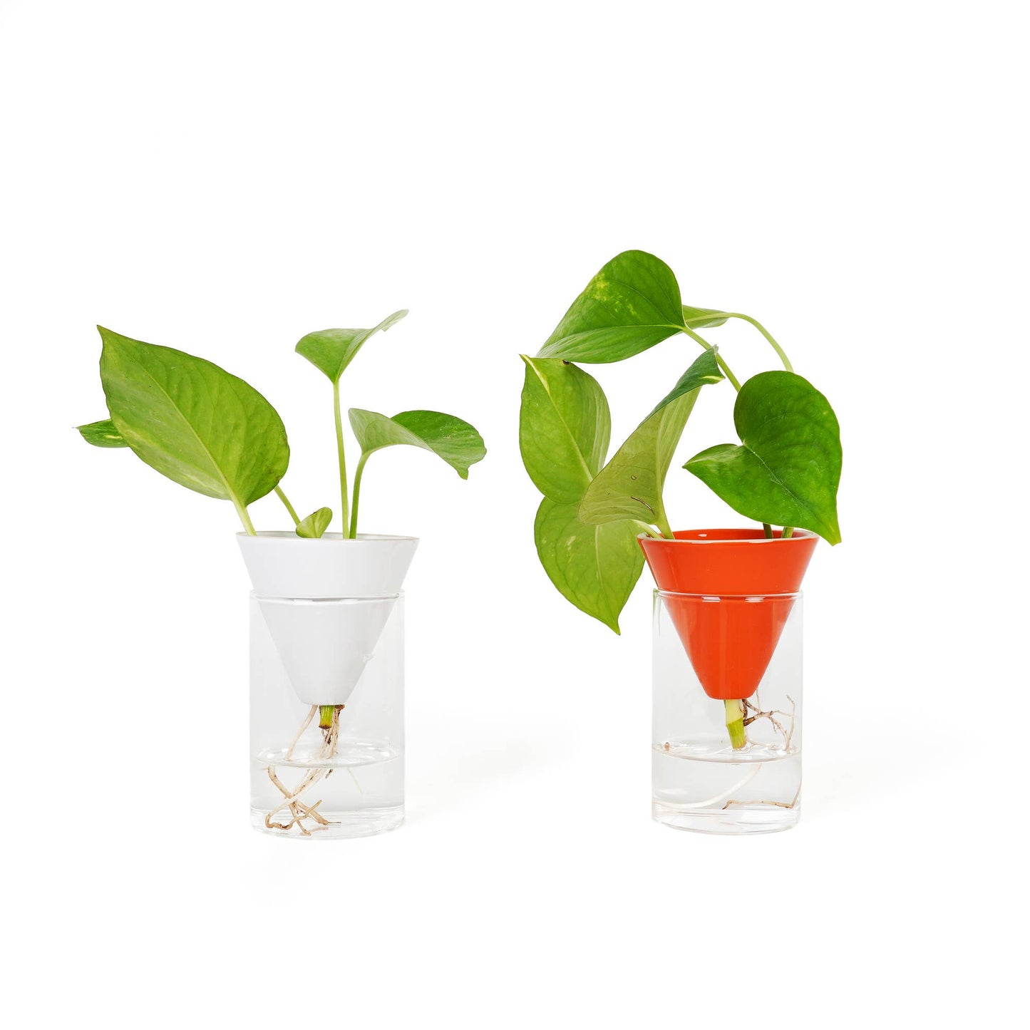 Hvit Cone Vase