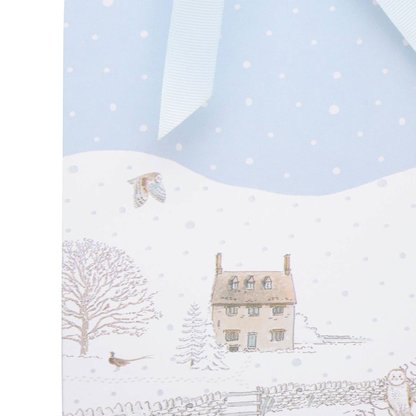 Snowy Cottage Flaskepose