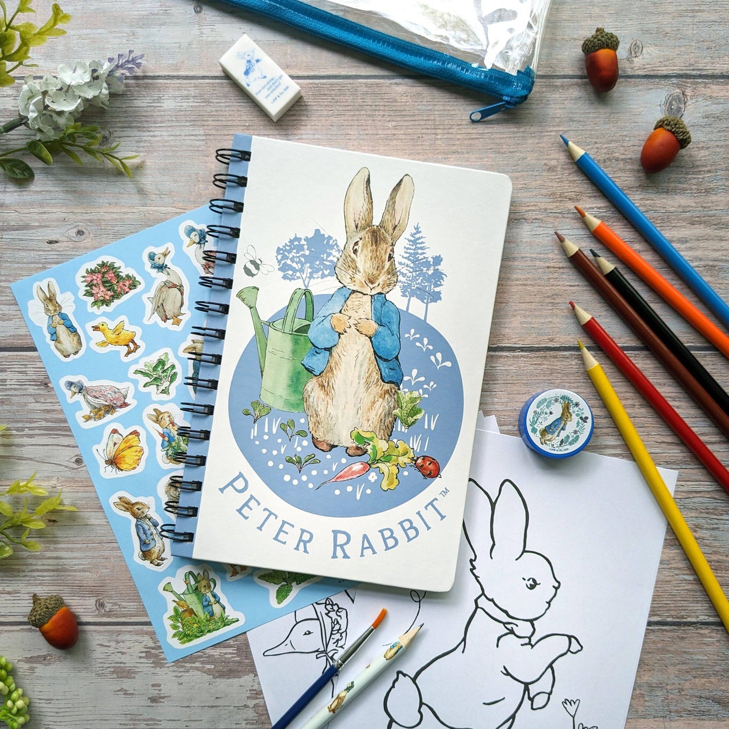 Peter Rabbit Aktivitetssett