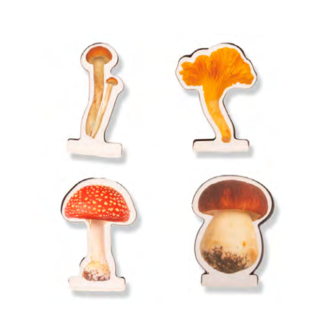 Magnetiske bokmerker Sopp