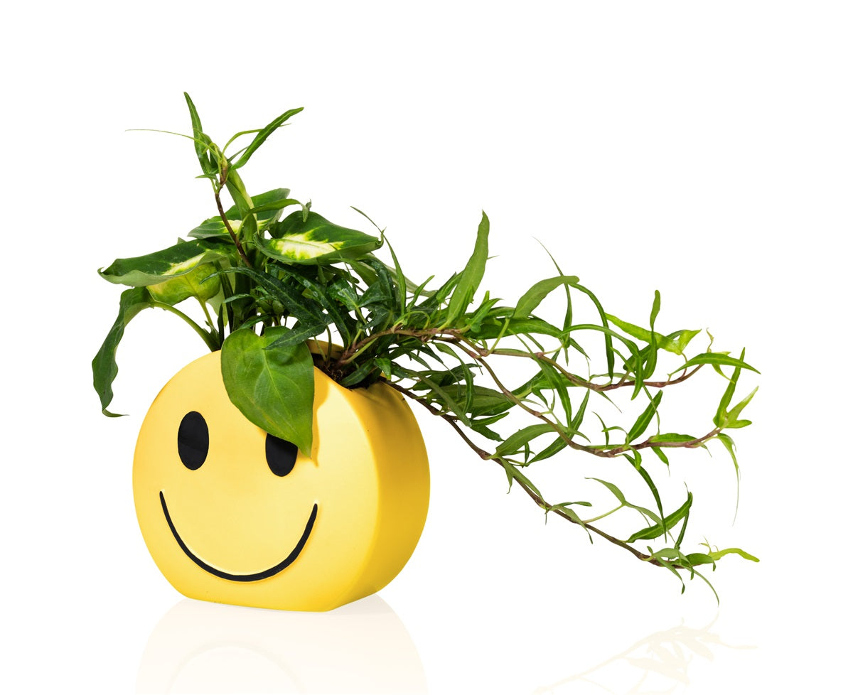 Mood Vase