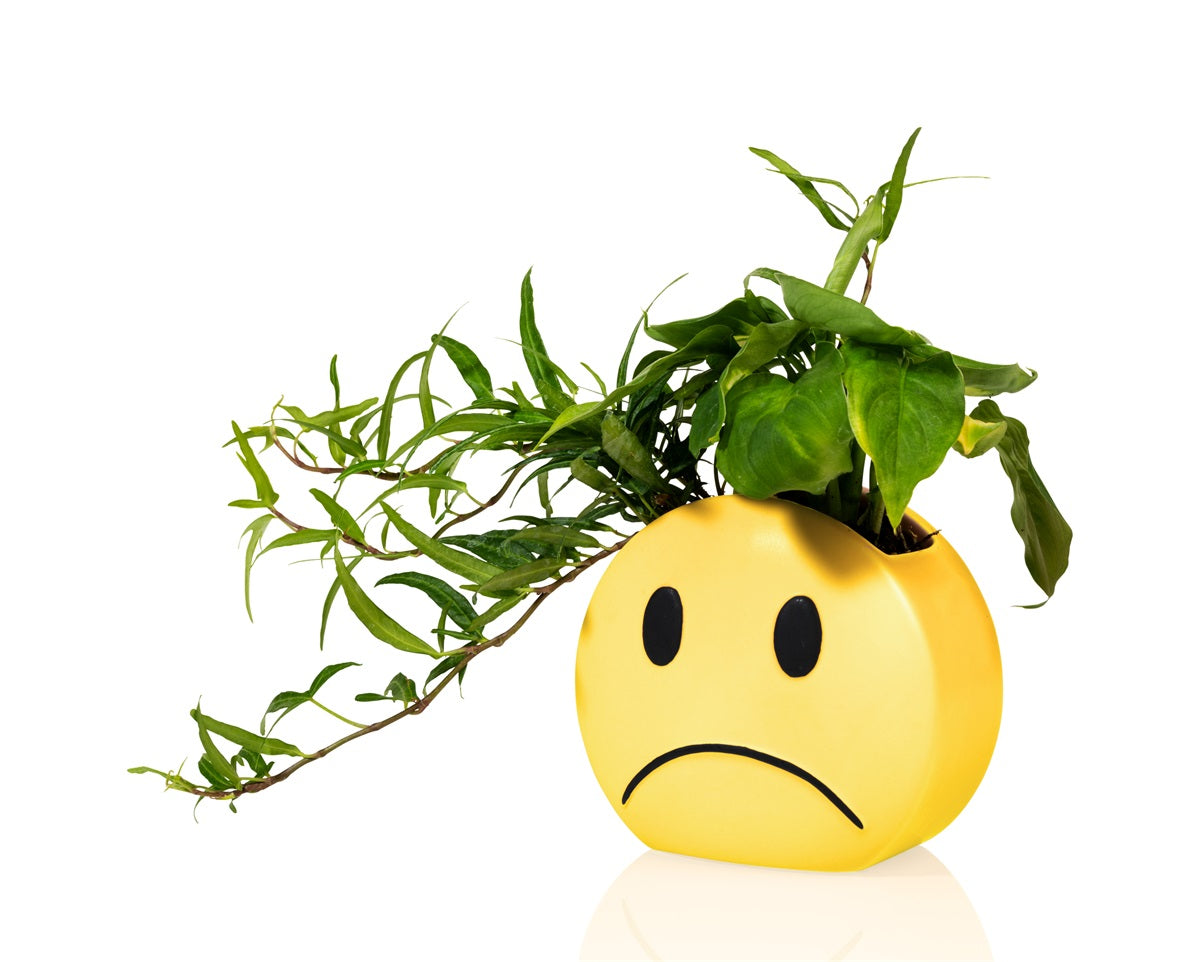 Mood Vase