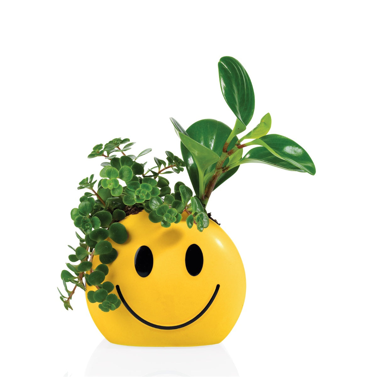 Mood Vase