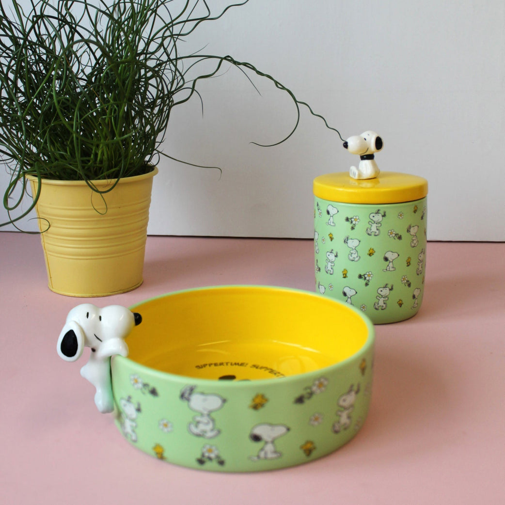 Snoopy Krukke