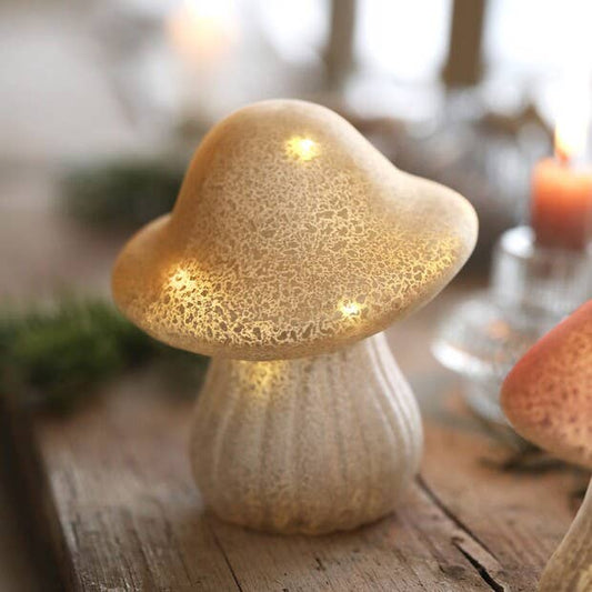 Mushroom Light