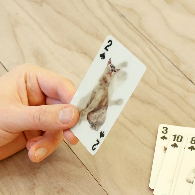 GG38_3DCatCards_Action2_640x640