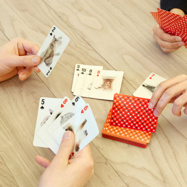 GG38_3DCatCards_Action_640x640