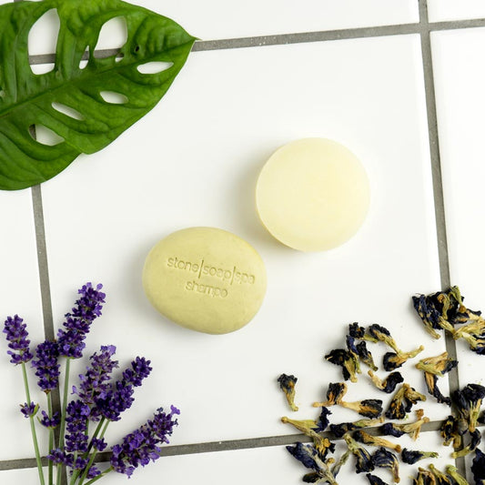 shampo-balsam-butterflypea-lavendel